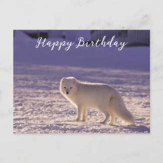 Niedliche Winterfotografie des Schneefräses Postkarte