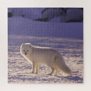 Niedliche Winterfotografie des Schneefräses Puzzle