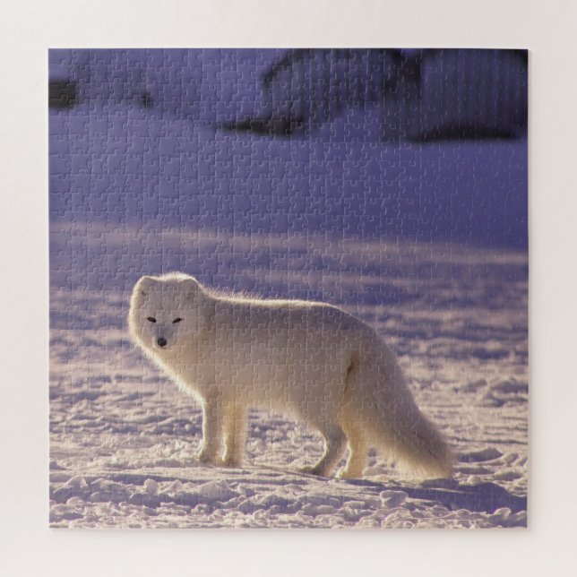 Niedliche Winterfotografie des Schneefräses Puzzle (Vertikal)