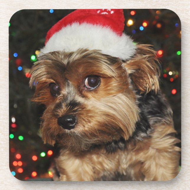 Niedliche Yorkie mit Weihnachtsmannmütze Getränkeuntersetzer (Vorderseite)
