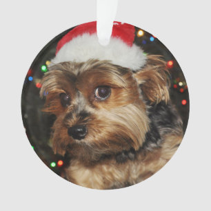 Niedliche Yorkie mit Weihnachtsmannmütze Ornament