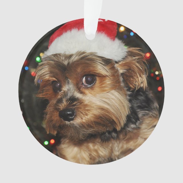 Niedliche Yorkie mit Weihnachtsmannmütze Ornament (Vorderseite)