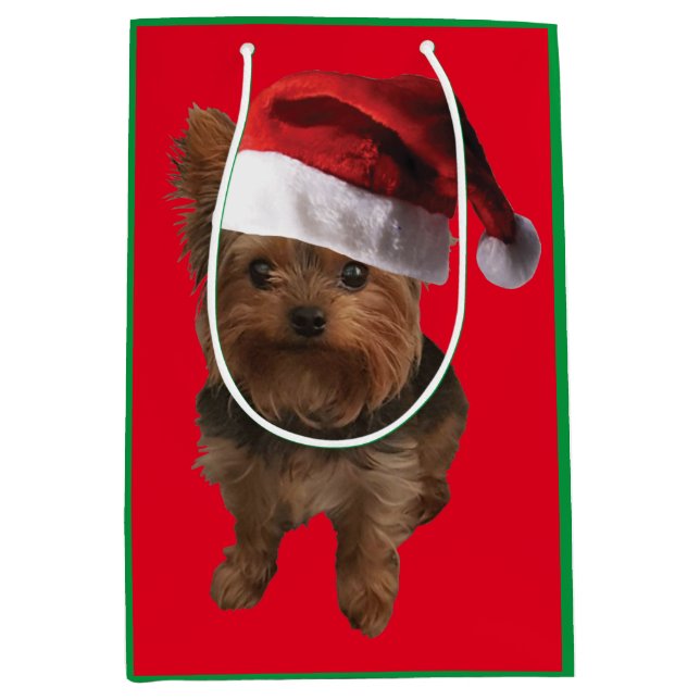 Niedliche Yorkie-Welpe, die einen Weihnachtshut tr Mittlere Geschenktüte (Vorderseite)
