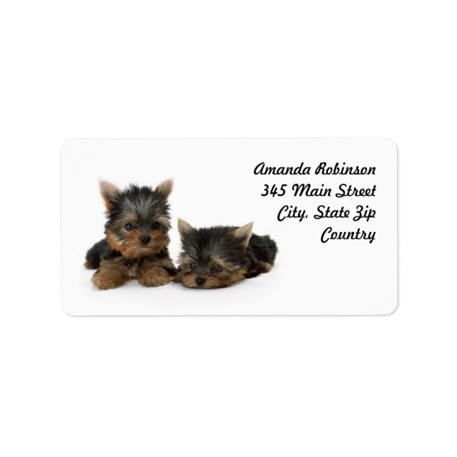 Niedliche Yorkshire Terrier Welpen Adressaufkleber (Vorne)