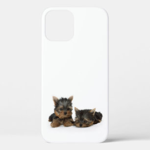 Niedliche Yorkshire Terrier Welpen Case-Mate iPhone Hülle