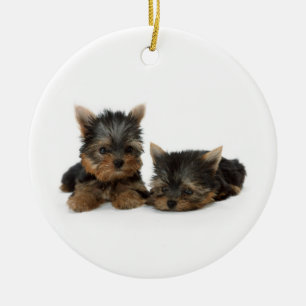 Niedliche Yorkshire Terrier Welpen Keramik Ornament