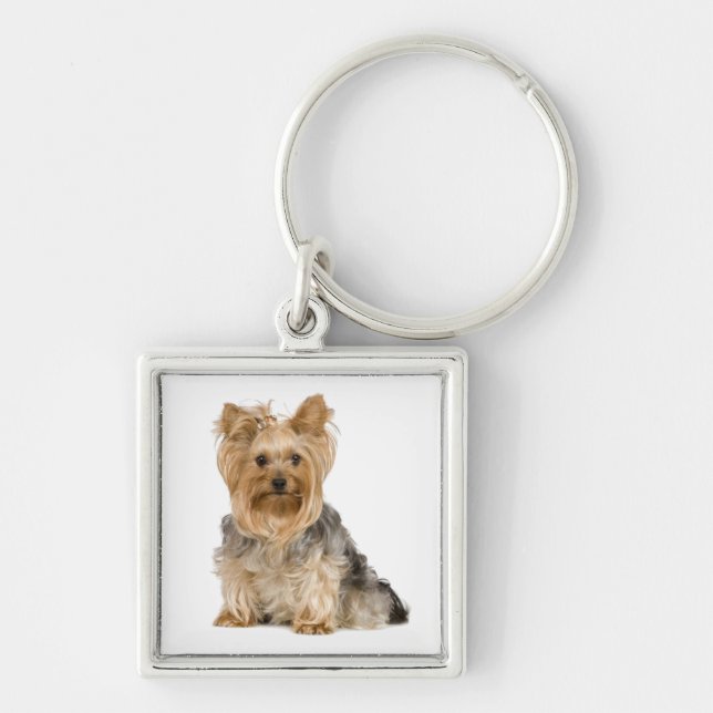Niedliche Yorkshire Terrier Welpen-Schlüsselkette Schlüsselanhänger (Vorne)