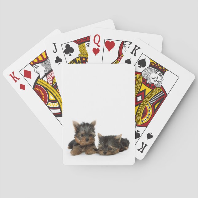 Niedliche Yorkshire Terrier Welpen Spielkarten (Rückseite)