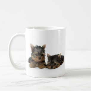 Niedliche Yorkshire Terrier Welpen Tasse