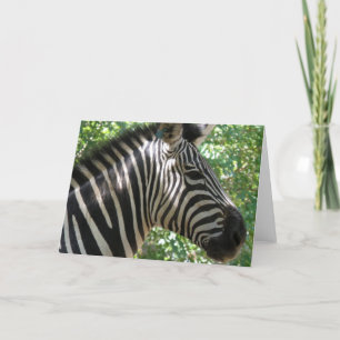 Niedliche Zebra-Grußkarte Karte