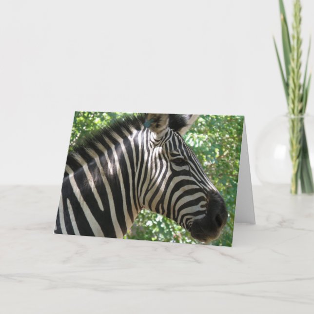 Niedliche Zebra-Grußkarte Karte (Vorderseite)