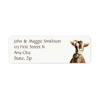 Niedliche Ziege, Nutztiere, Haustiere