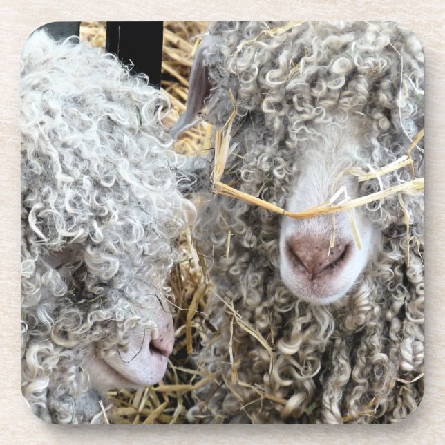 NIEDLICHE ZIEGEN GETRÄNKEUNTERSETZER (Vorderseite)