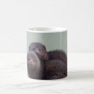 Niedliche zwergartige Mungo-Paare Kaffeetasse