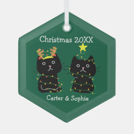 Niedlichen Weihnachtsbeleuchtung für zwei Katzen P Ornament Aus Glas