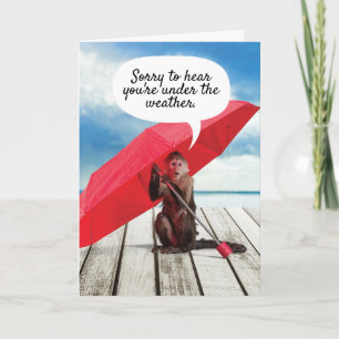 Niedlicher Affe unter dem Wetter wird gut Karte