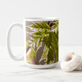 Niedlicher Ahornzweig mit kleinen Blätter Kaffeetasse