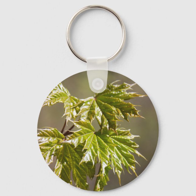 Niedlicher Ahornzweig mit kleinen Blätter Schlüsse Schlüsselanhänger (Vorderseite)