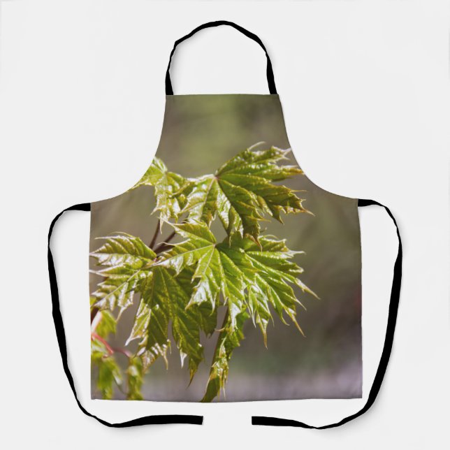 Niedlicher Ahornzweig mit kleinen Blätter Schürze (Vorderseite)