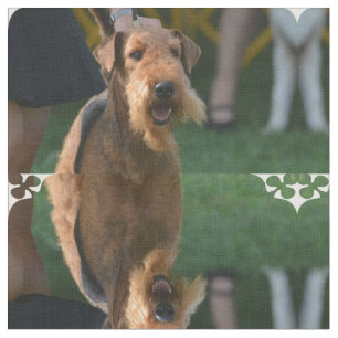 Niedlicher Airedale-Terrier Stoff