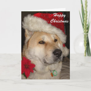 Niedlicher Akita-Hunderotes Weihnachtsmannmütze Feiertagskarte