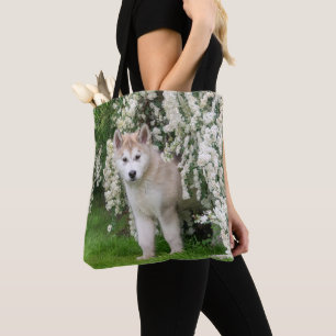 Niedlicher Alaskan Malamute Dog Welpe in Blume Fot