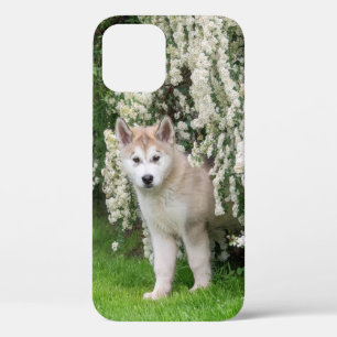 Niedlicher Alaskan Malamute Dog Welpe in Blume Fot Case-Mate iPhone Hülle
