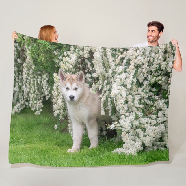 Niedlicher Alaskan Malamute Dog Welpe in Blume Fot Fleecedecke (Beispiel)