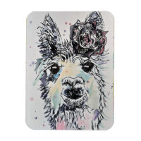 Niedlicher Alpacca Lama