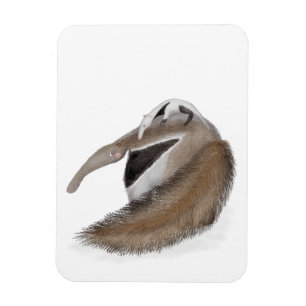 Niedlicher Anteator und Babymagnet Magnet