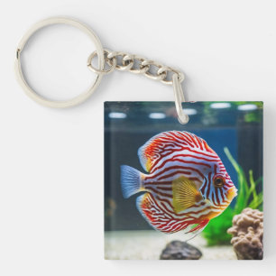 Niedlicher Aquarium-Tank Schlüsselanhänger