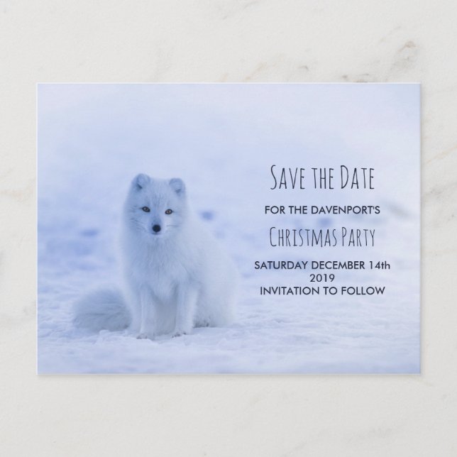 Niedlicher arktischer Fox auf Schnee Save the Date Postkarte (Vorderseite)