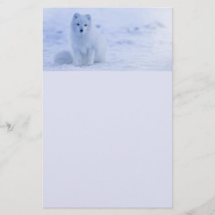 Niedlicher arktischer Fox im Hintergrund des schne Briefpapier