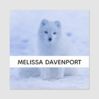 Niedlicher arktischer Fox im Hintergrund des schne