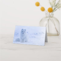 Niedlicher arktischer Fox im Hintergrund des schne