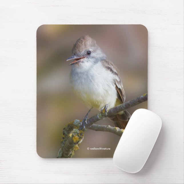 Niedlicher ash-gethroter Flycatcher-Songbird am Zw Mousepad (Mit Mouse)