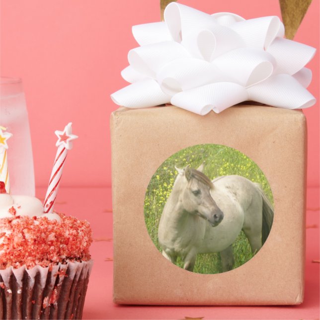 Niedlicher Aufkleber für Wildpferde (Party)