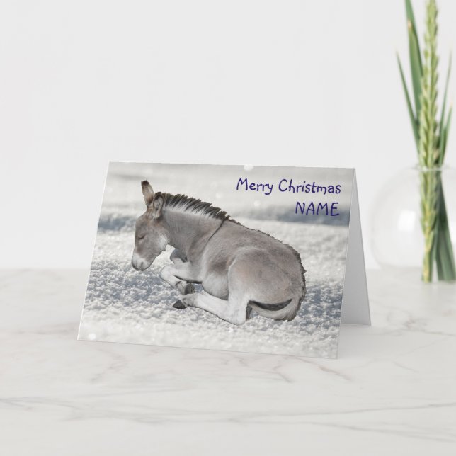Niedlicher Baby Donkey zu Schnee Weihnachten (Vorderseite)