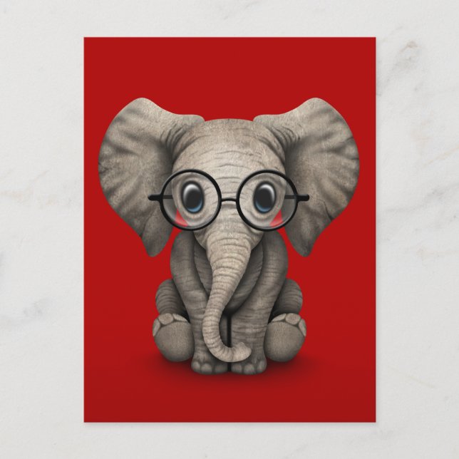 Niedlicher Baby Elephant mit Reading Glasses Red Postkarte (Vorderseite)