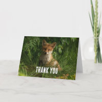 Niedlicher Baby Fox in einem grünen Wald Danke