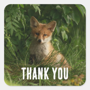 Niedlicher Baby Fox in einem grünen Wald Danke Quadratischer Aufkleber