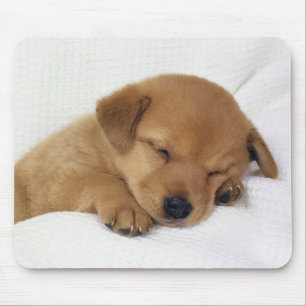 Niedlicher Baby-Hund Mousepad