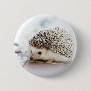 Niedlicher Baby-Igel Button