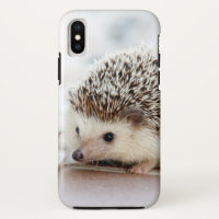 Niedlicher Baby-Igel