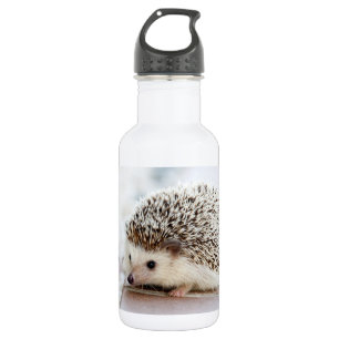 Niedlicher Baby-Igel Edelstahlflasche