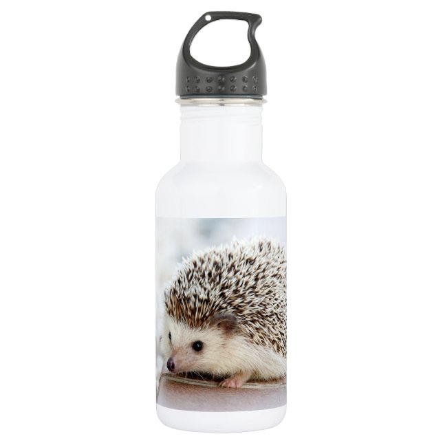 Niedlicher Baby-Igel Edelstahlflasche (Vorderseite)