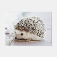 Niedlicher Baby-Igel
