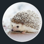 Niedlicher Baby-Igel Keramikknauf<br><div class="desc">Niedliches Babyportrait-Foto auf blassem Hintergrund.</div>