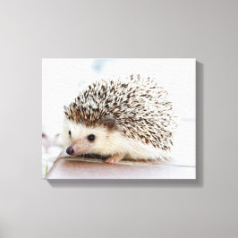 Niedlicher Baby-Igel Leinwanddruck
