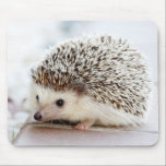 Niedlicher Baby-Igel Mousepad<br><div class="desc">Niedliche Baby-Igels-Porträtphotographie auf blassem Hintergrund.</div>